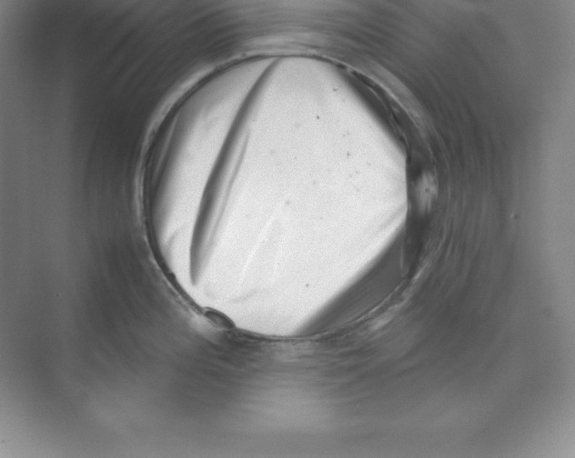 X0000074211196200609221933