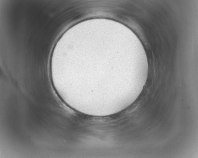 X0000074211199200609221933