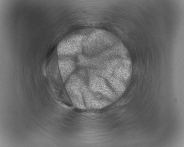 X0000074211202200609221932