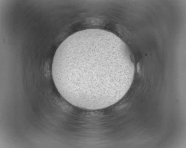 X0000074211203200609221932