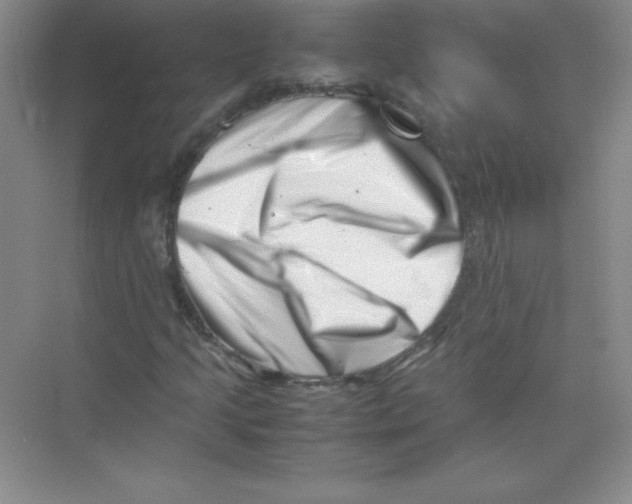 X0000074211205200609221932