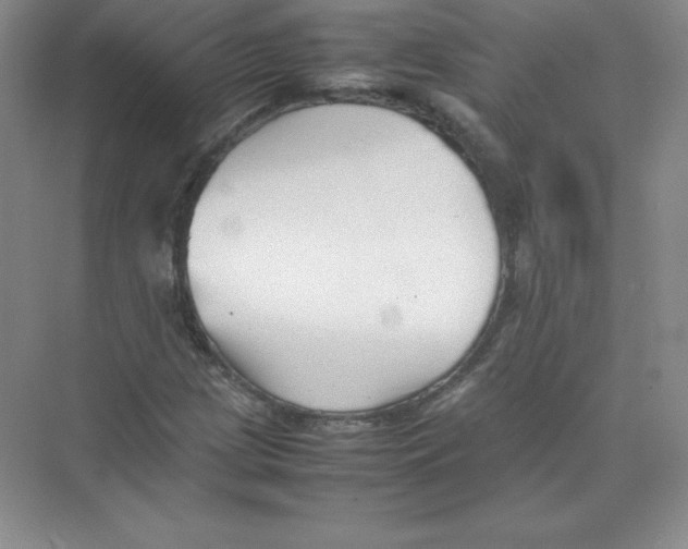 X0000074211209200609221933