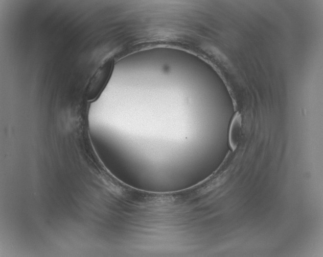 X0000074211210200609221933