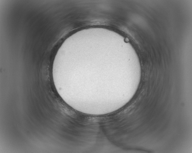 X0000074211211200609221933