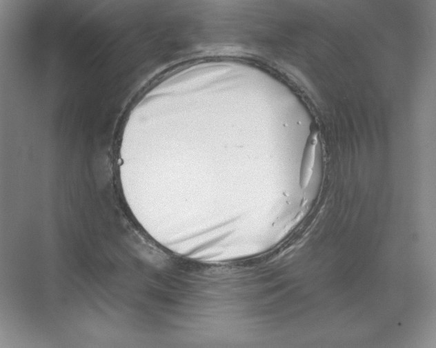 X0000074211212200609221933