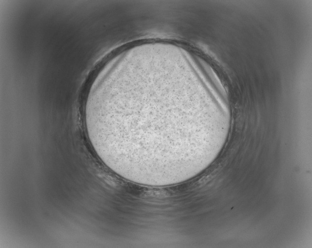 X0000074211215200609221933