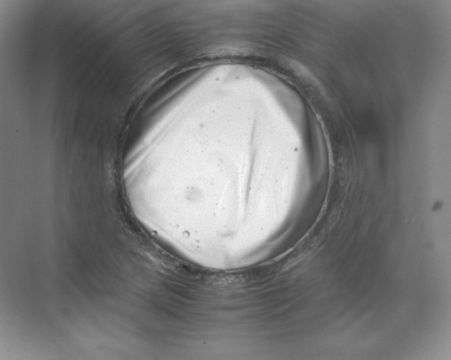 X0000074211217200609221933