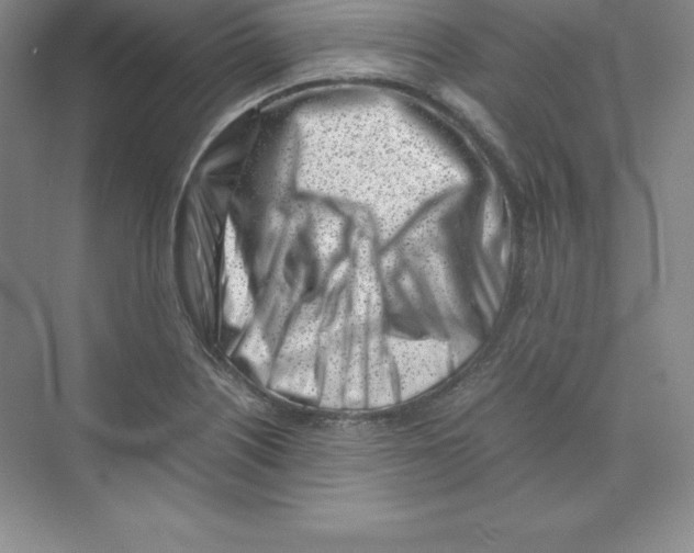 X0000074211226200609221933