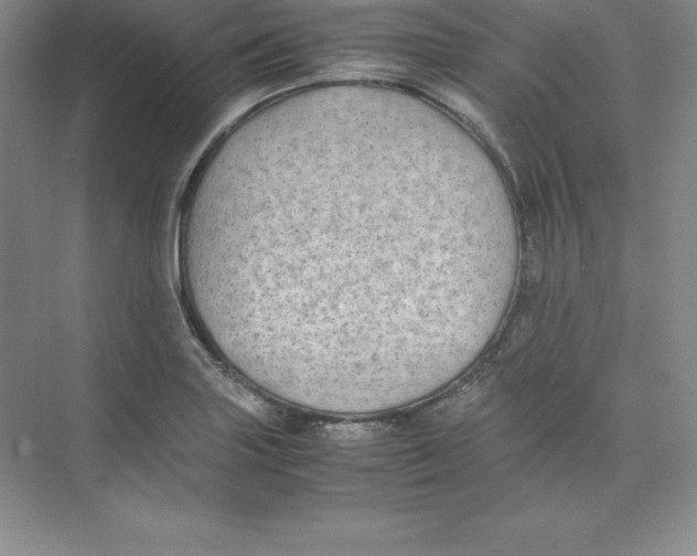 X0000074211227200609221933