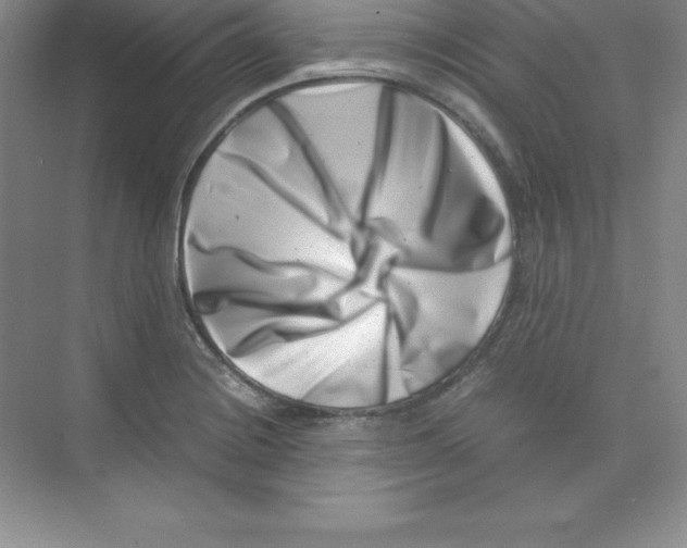 X0000074211228200609221933