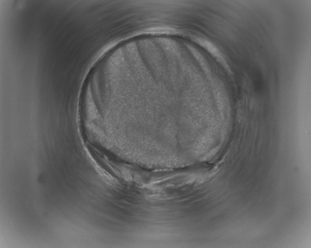 X0000074211229200609221933