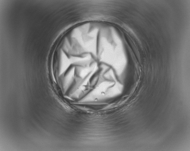 X0000074211230200609221933