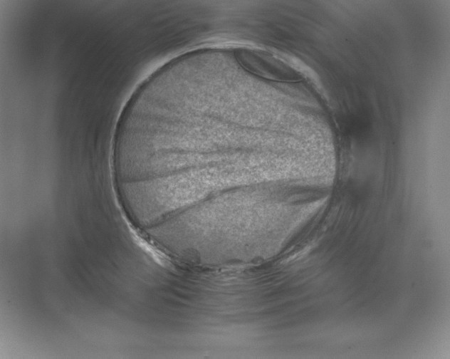 X0000074211231200609221933