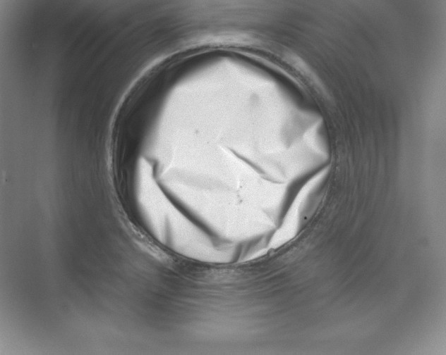 X0000074211232200609221933