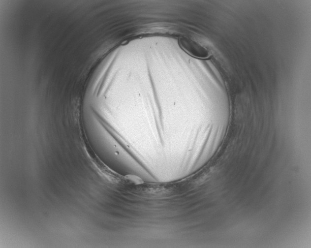 X0000074211233200609221933