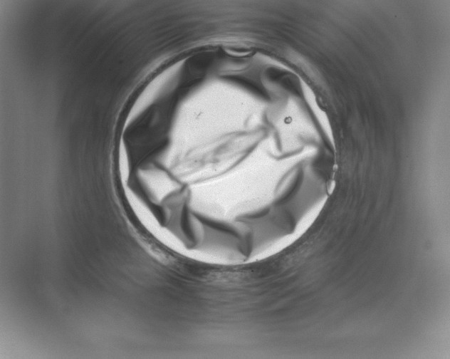 X0000074211237200609221933