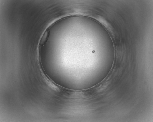 X0000074211238200609221933