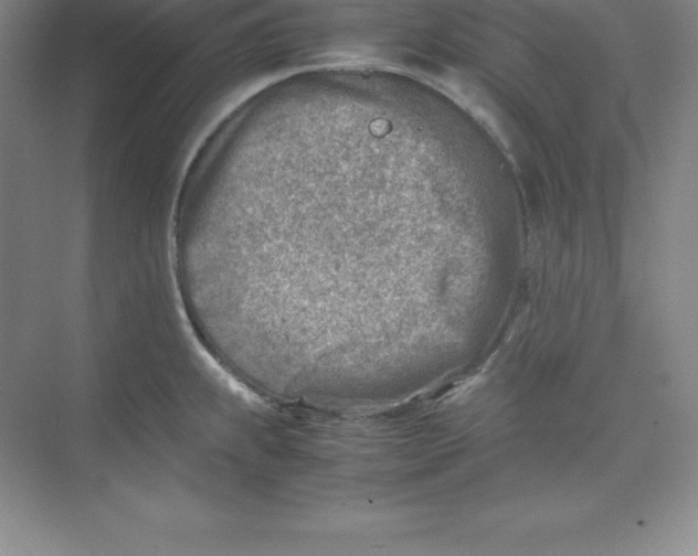 X0000074211239200609221933