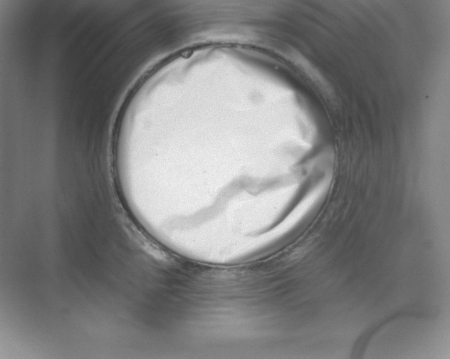 X0000074211240200609221933