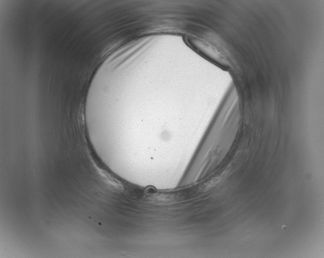 X0000074211241200609221933