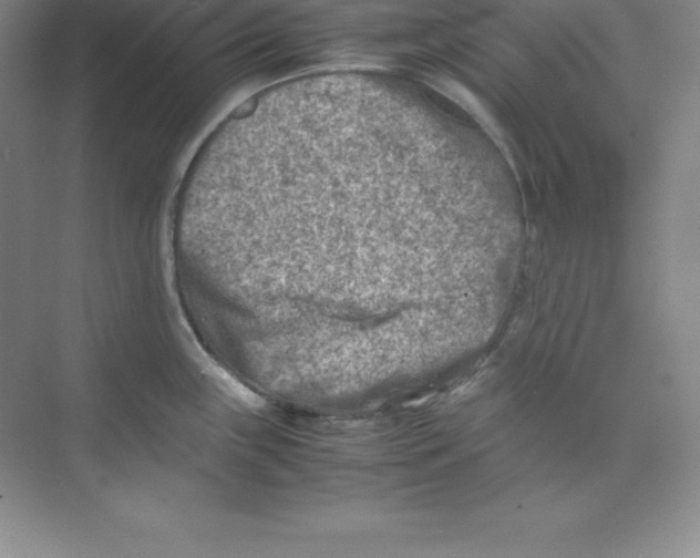 X0000074211243200609221933