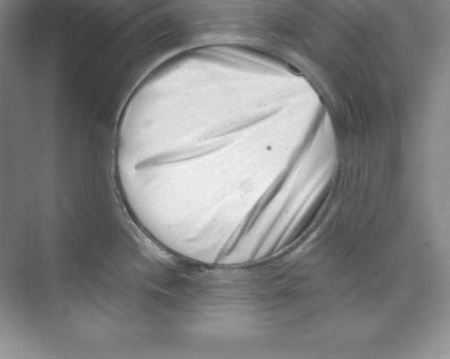 X0000074211244200609221933