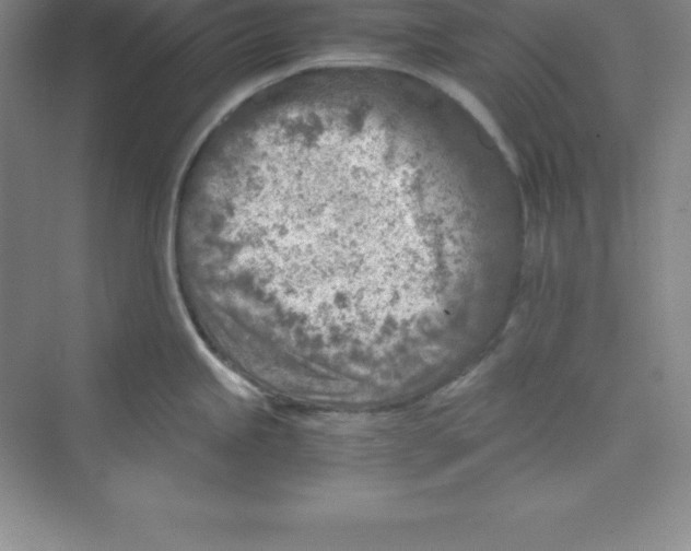 X0000074211245200609221933