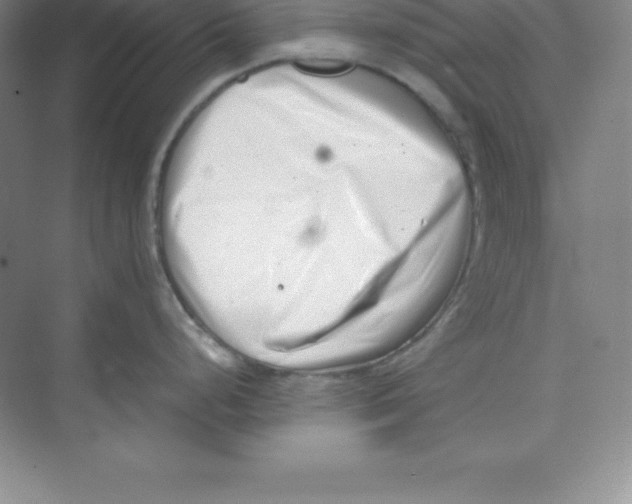 X0000074211248200609221933