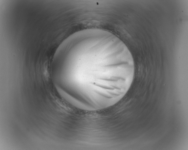 X0000074211250200609221932