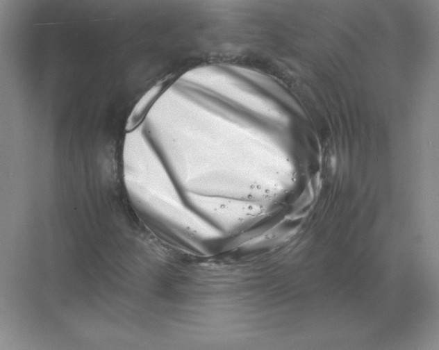 X0000074211252200609221932