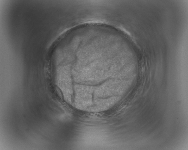 X0000074211255200609221932