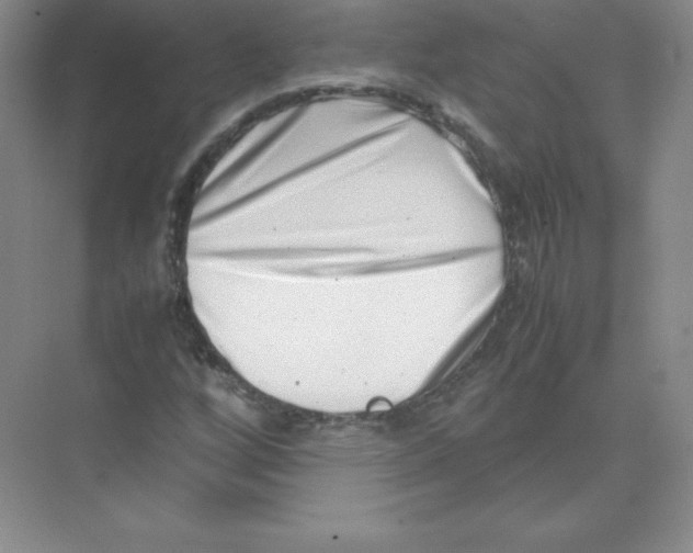 X0000074211256200609221932