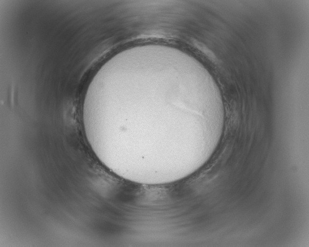 X0000074211258200609221932