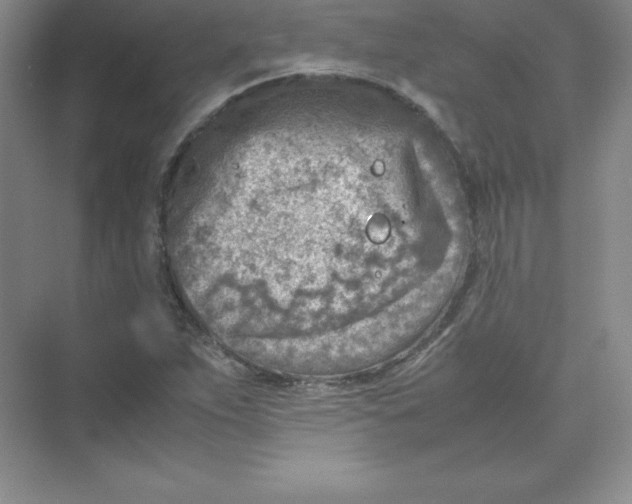 X0000074211263200609221932