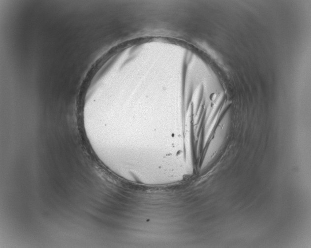 X0000074211264200609221932