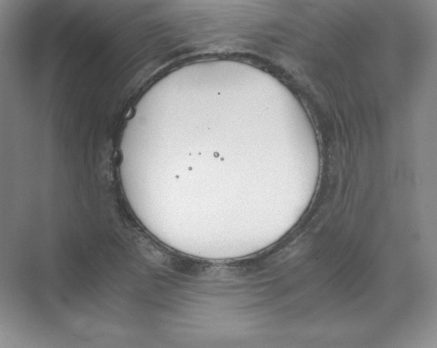 X0000074211265200609221932