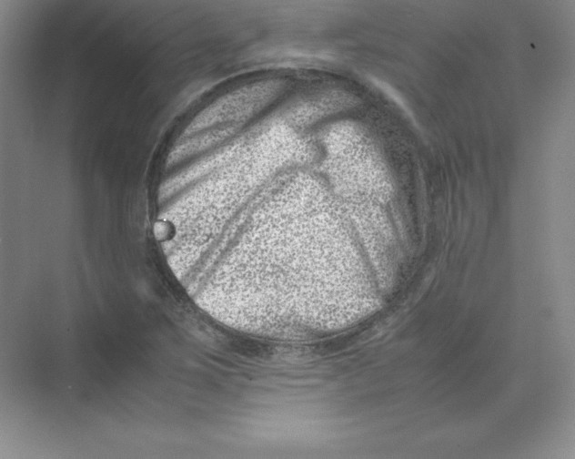 X0000074211267200609221932