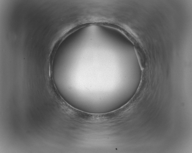 X0000074211269200609221932