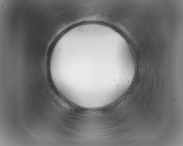 X0000074211270200609221932