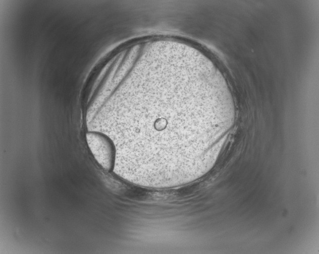 X0000074211271200609221932