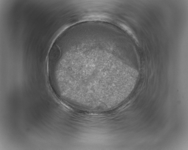 X0000074211275200609221932