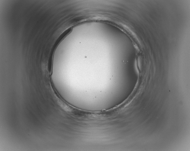 X0000074211281200609221932