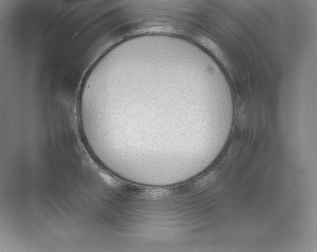 X0000074211282200609221932