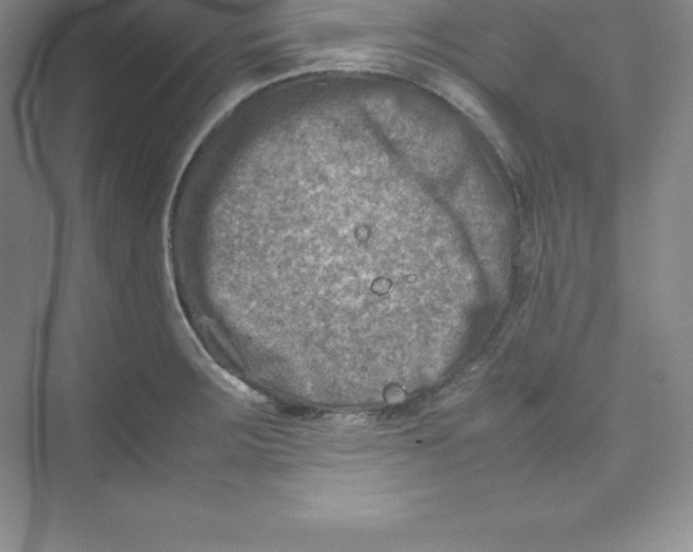 X0000074211283200609221932