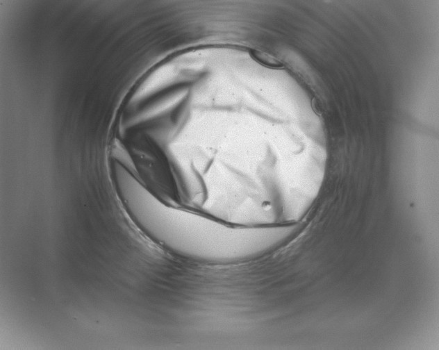 X0000074211284200609221932