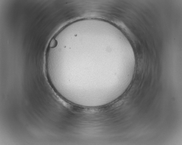 X0000074211286200609221932