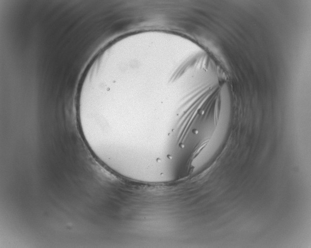 X0000074211288200609221932