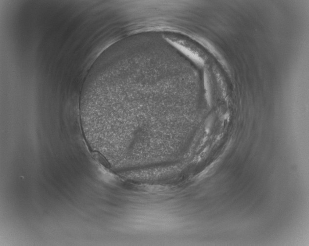 X0000074211289200609221932