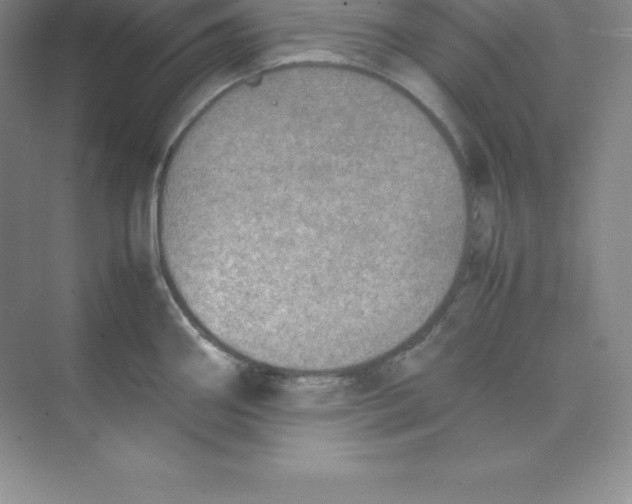 X0000074211290200609221932