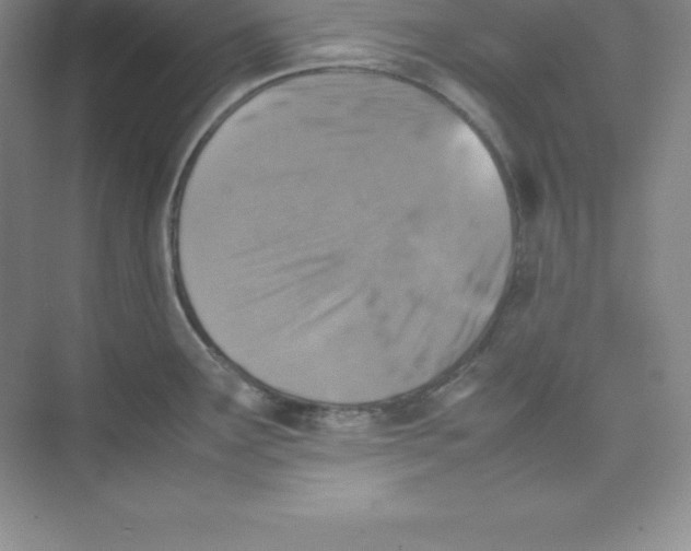 X0000074211291200609221932